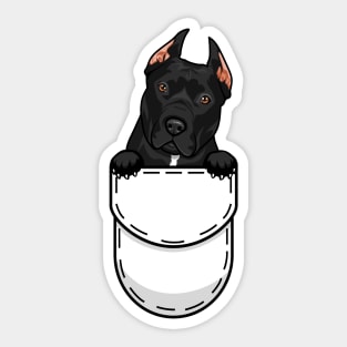 Pit Bull Terrier Pocket Dog Sticker